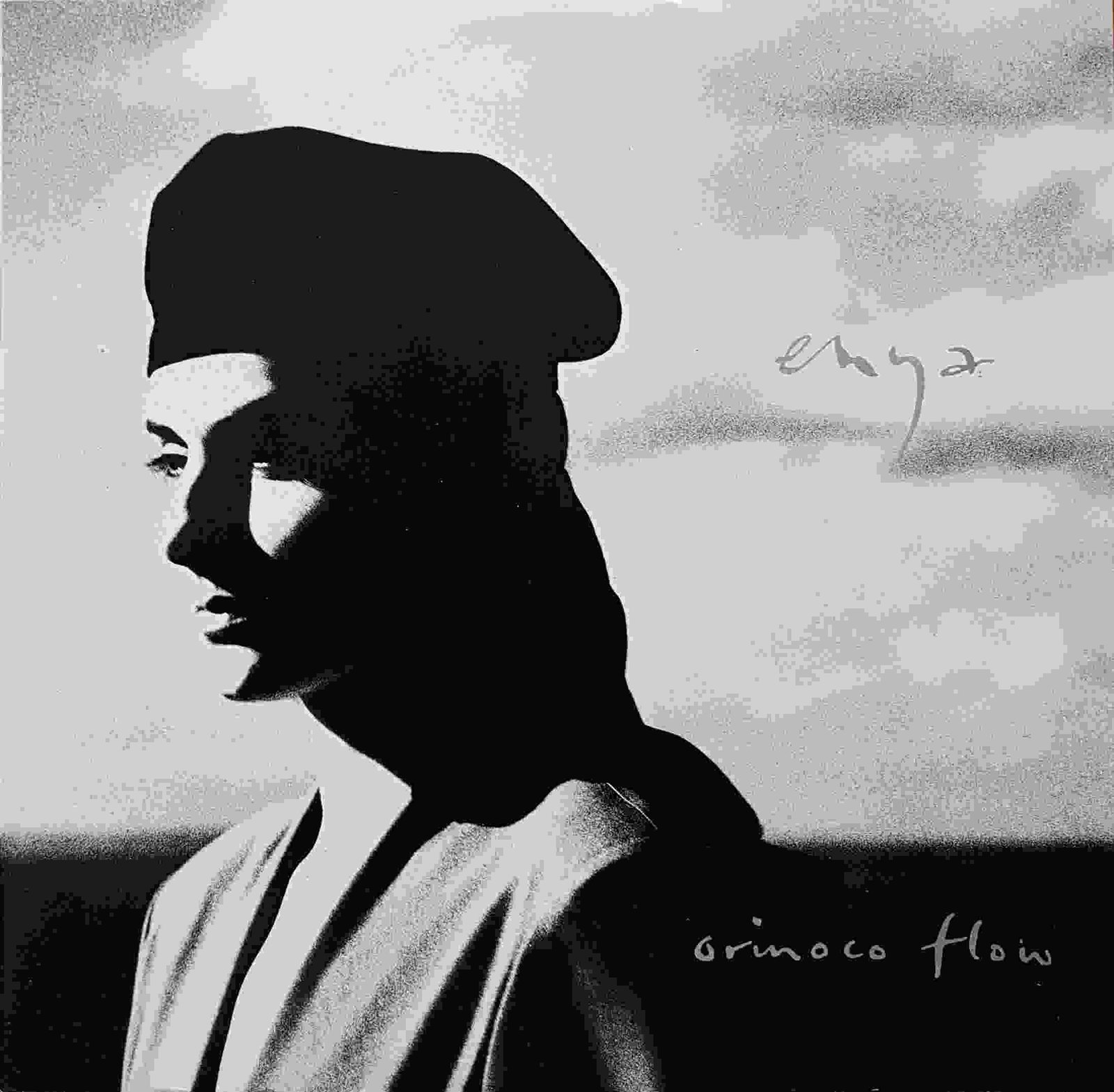 Picture of YZ 312 T cover